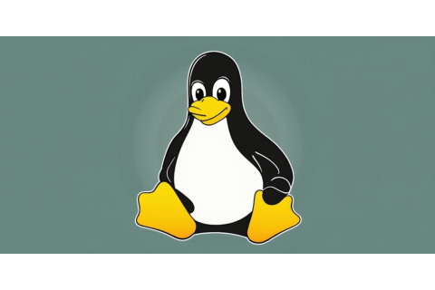 Лучшие легкие Linux-дистрибутивы для старых ПК под Windows 10: Puppy Linux против Linux Lite — что выбрать российским пользователям в 2024 году