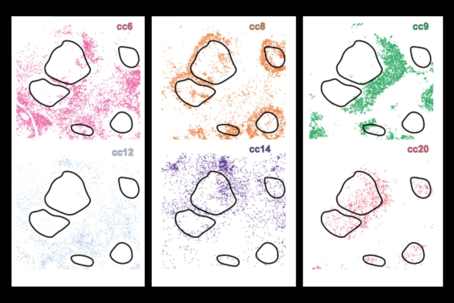  AI-система CellLENS выявляет скрытые типы клеток для точной медицины