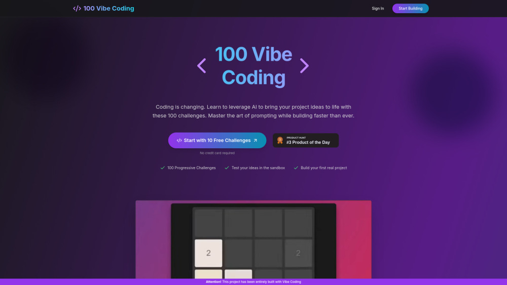 100 Vibe Coding