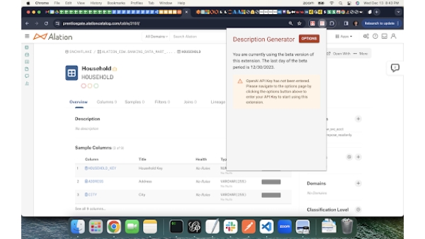 Alation ChatGPT Description Generator Extension - Chrome Extension