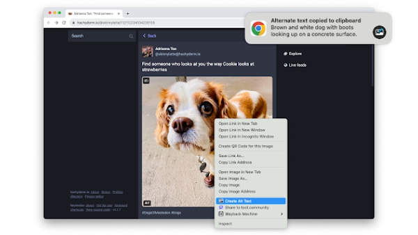 Alt Text Creator - Chrome Extension