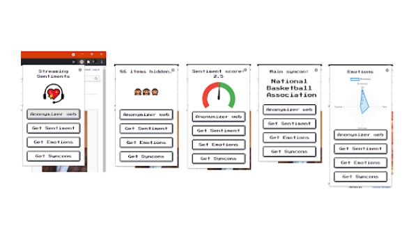 Anonymizer Web - Chrome Extension