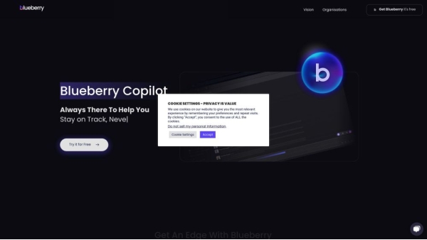 Bberry Copilot