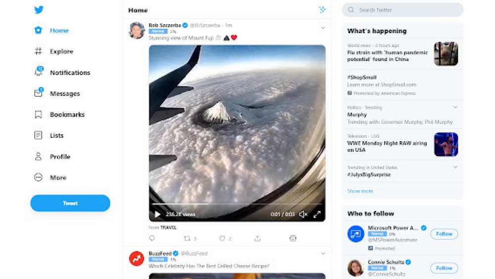 Bot Sentinel - Chrome Extension