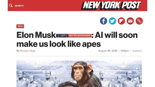 CAT-L Verification Badge Extension - Chrome Extension