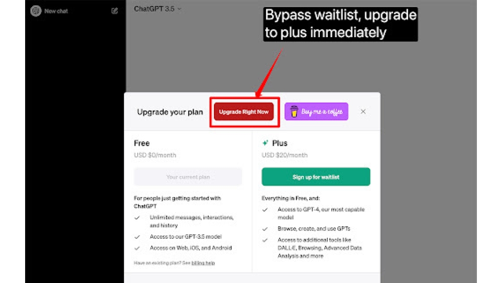 Chatgpt Plus Waitlist Skipper - Chrome Extension