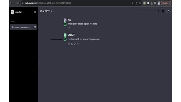 ChatGPT Snapshot - Chrome Extension