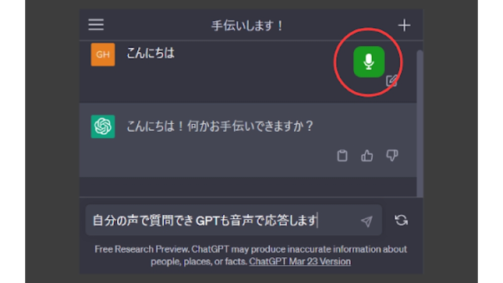 ChatGPT Voice Conversation Add-on - Chrome Extension