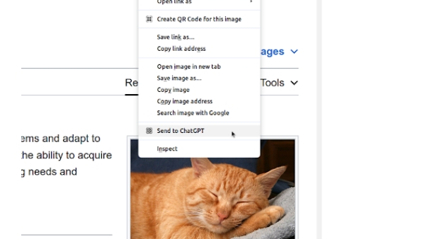 ChatGPT Xtra - Chrome Extension
