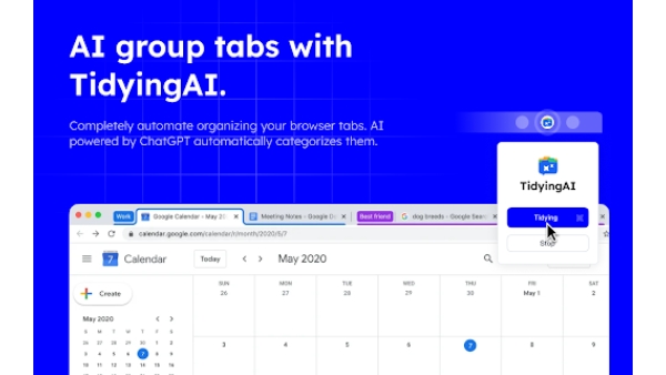 Chrome Tab & Bookmark Organizer - Chrome Extension