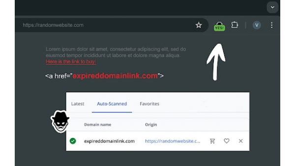 Domain Detective - Chrome Extension