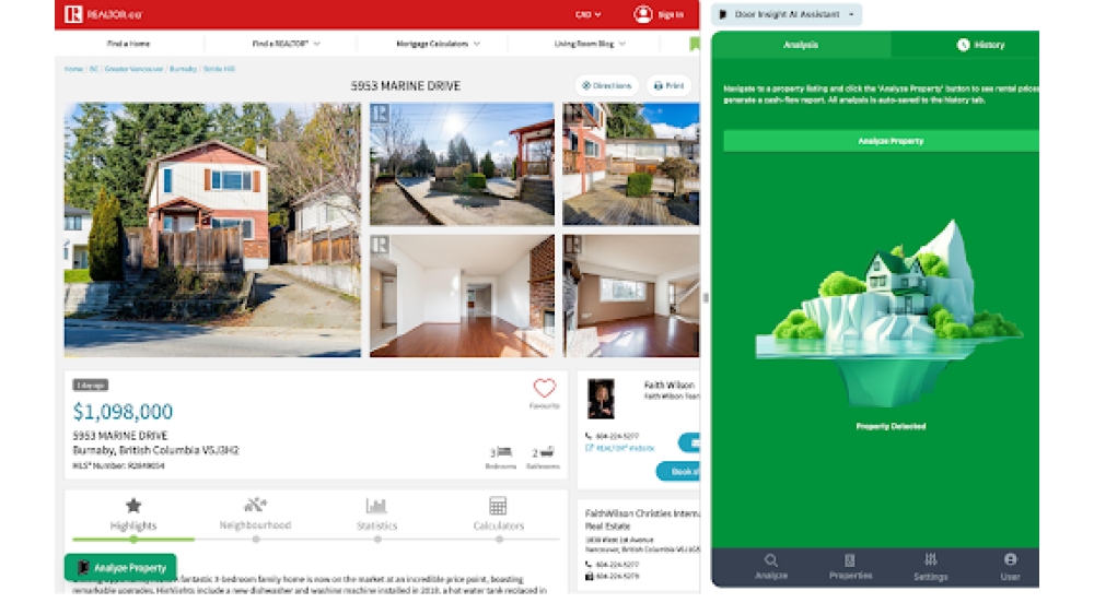Door Insight AI Assistant - Chrome Extension