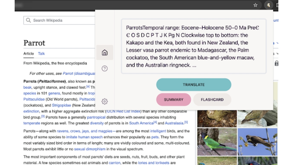 Doozy: AI Made Easy - Chrome Extension