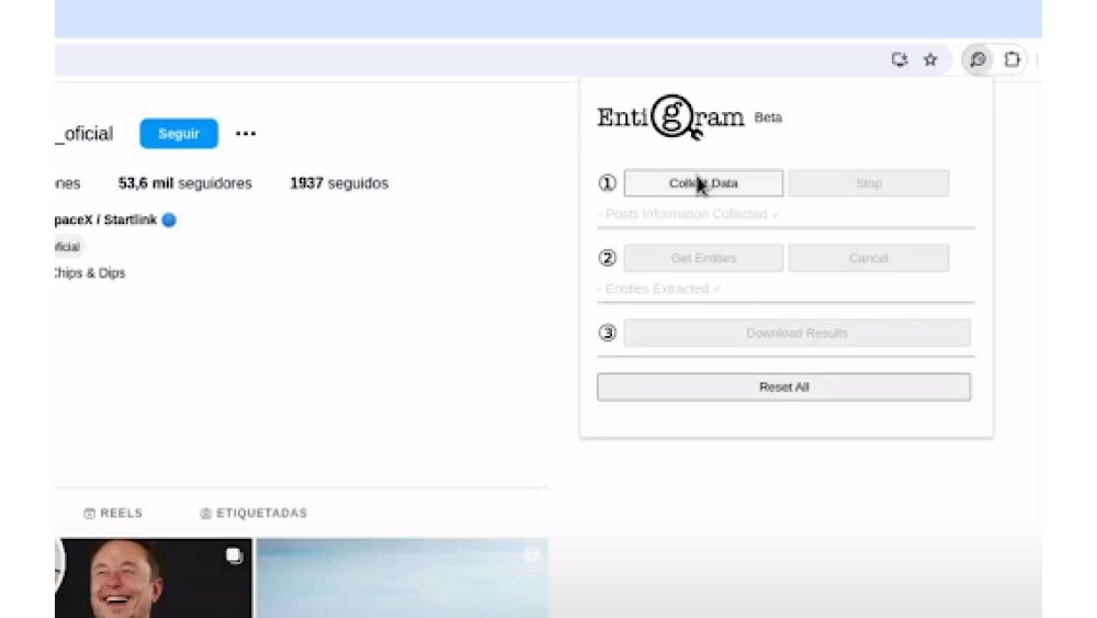 EntiGram - Chrome Extension