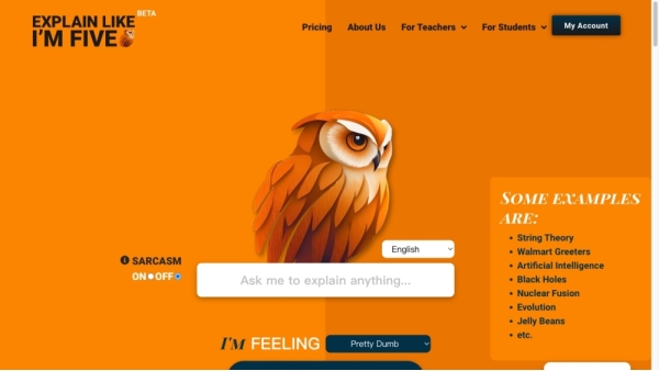 Explain Like I'm Five (ELI5)