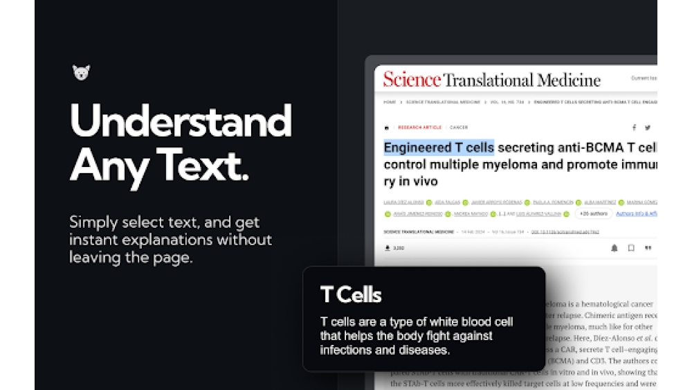 ExplainTXT - Chrome Extension
