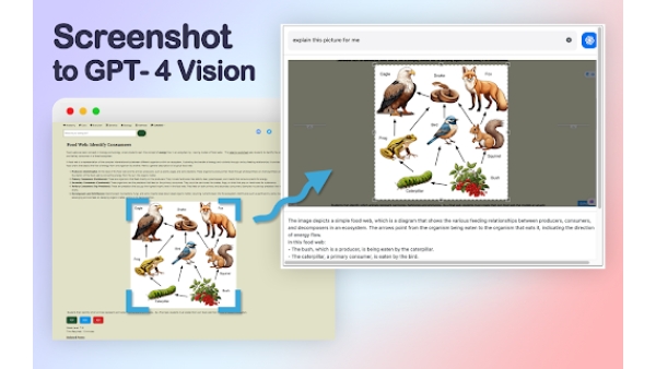 GPT-4 Vision Screenshot - Chrome Extension