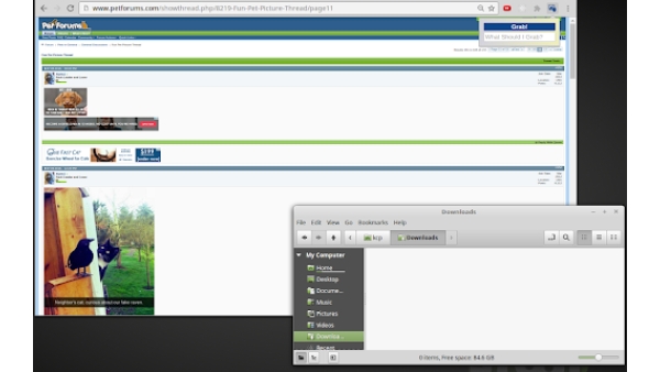 Grab 'n Tag - Chrome Extension