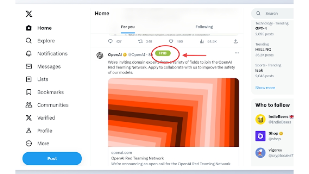 H1B Visa Sponsorship Finder - Chrome Extension