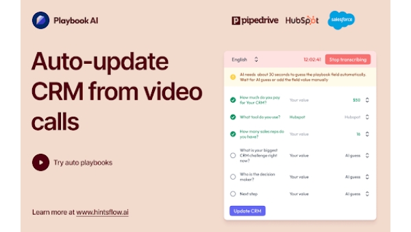 Hints Playbook AI - Chrome Extension