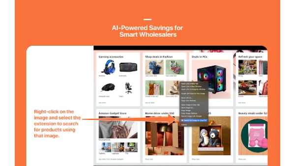 Image Search Plugin - Chrome Extension