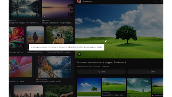 ImageALT - Chrome Extension