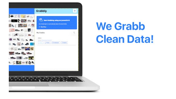 LDA Labs Web Data Grabber - Chrome Extension