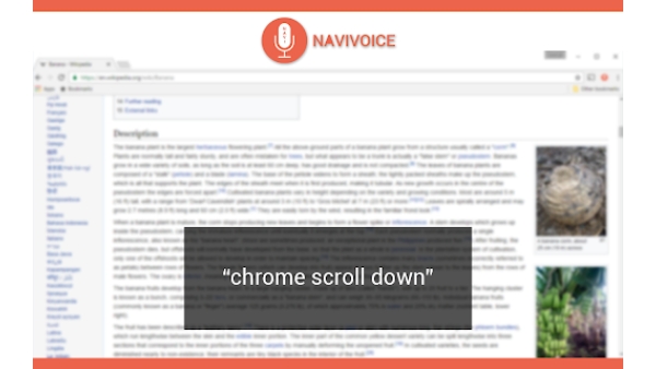 NaviVoice - Chrome Extension