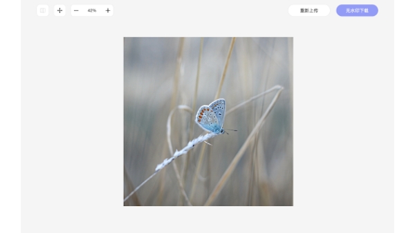 Online Image Watermark Remover - Chrome Extension