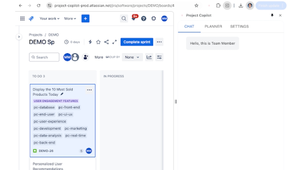 Project Copilot Team Member - Chrome Extension