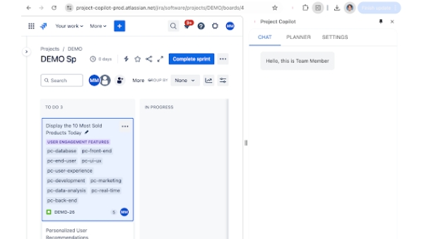 Project Copilot Team Member - Chrome Extension