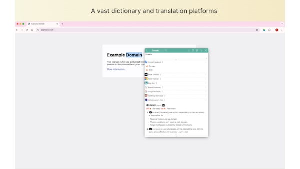 Saladict - Chrome Extension