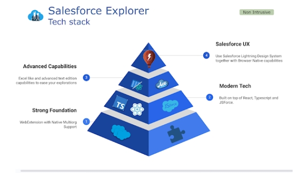 Salesforce Explorer - Chrome Extension