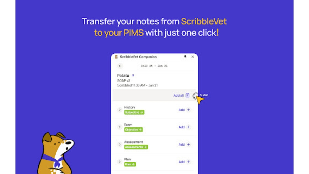 ScribbleVet Chrome Companion - Chrome Extension