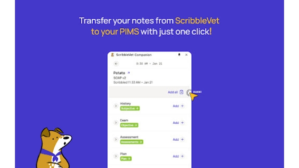 ScribbleVet Chrome Companion - Chrome Extension