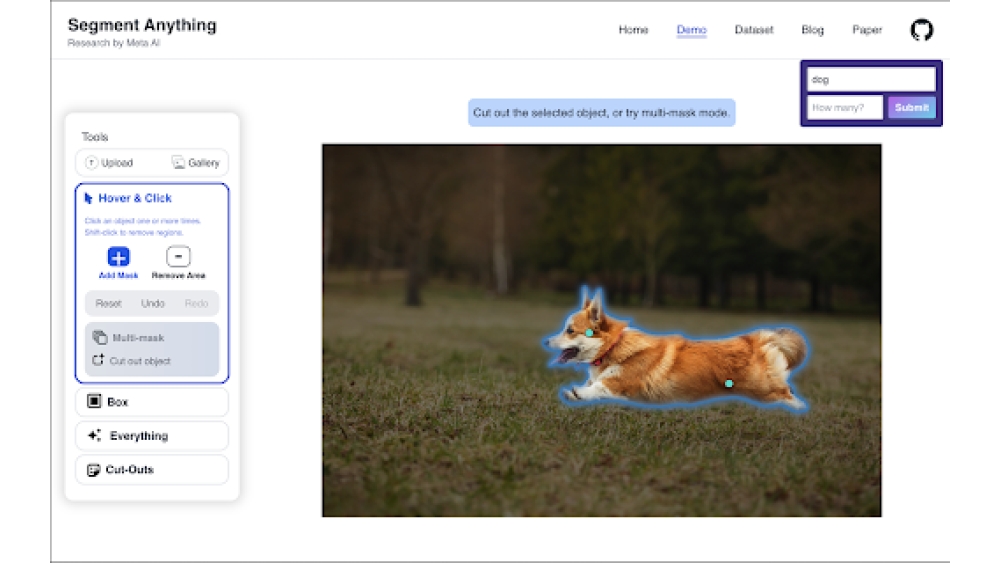 Segment Anything Model (SAM) - Chrome Extension