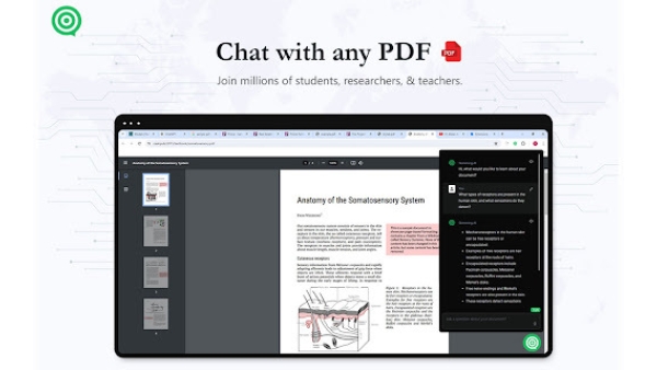 Skimming.ai - Chrome Extension