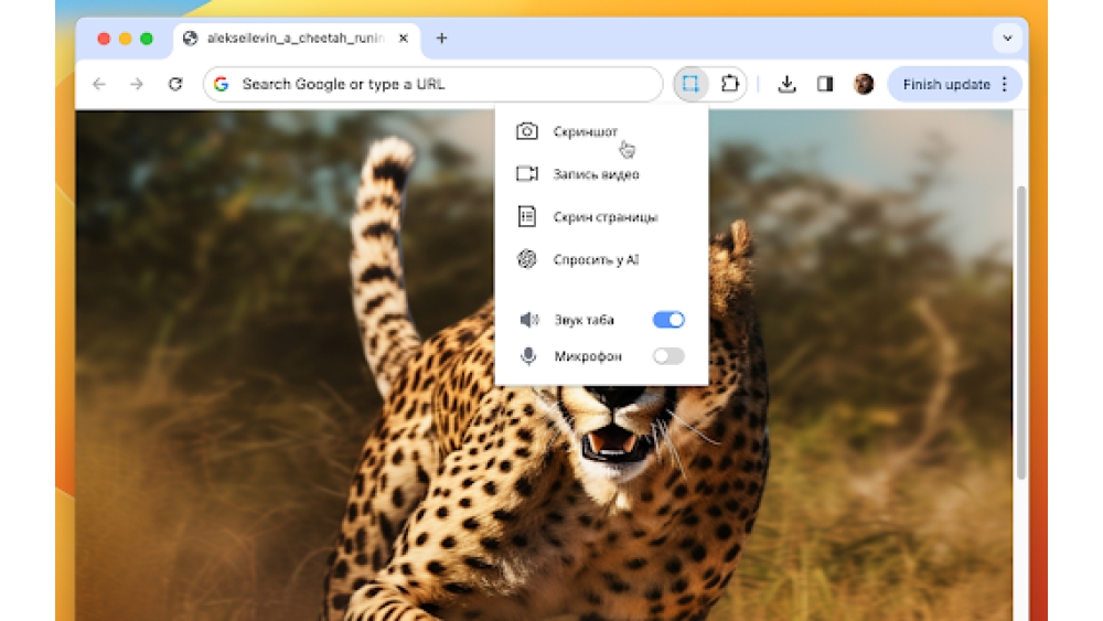 Skrinshoter - Chrome Extension