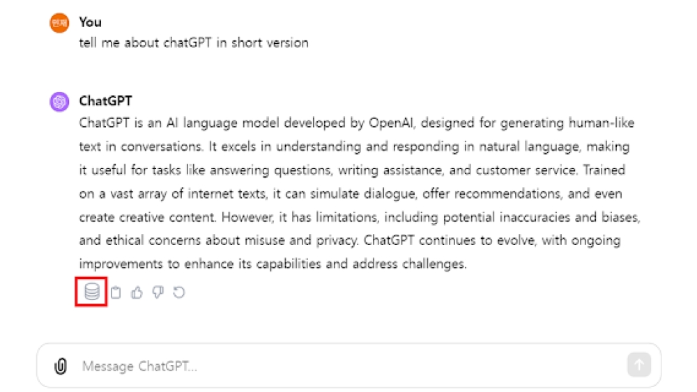 storageGPT - Chrome Extension
