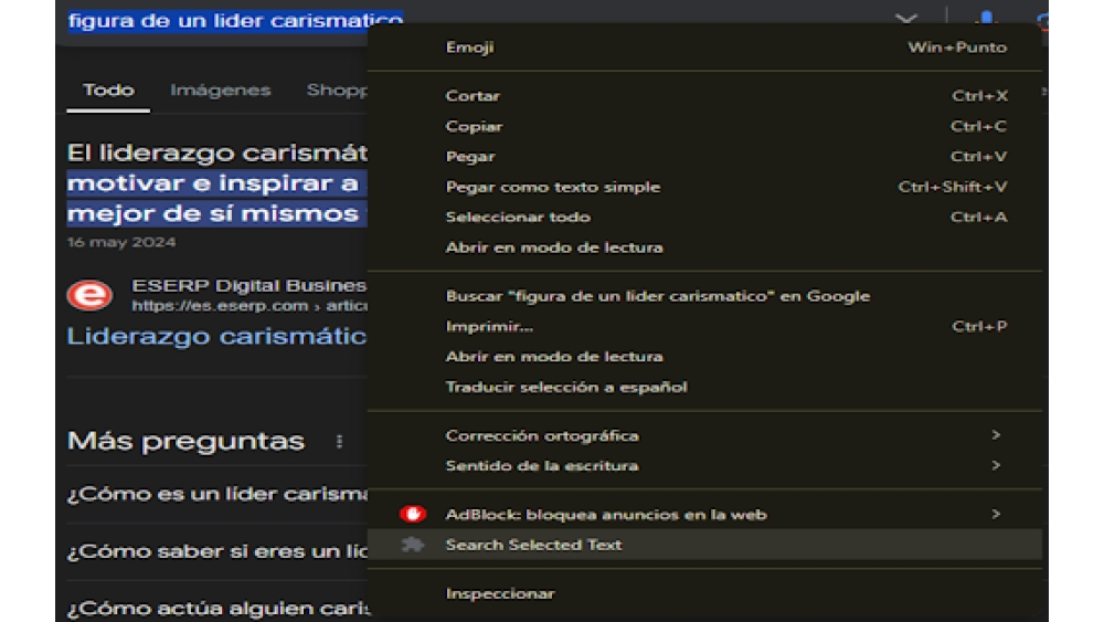 Text Selection Extension - Chrome Extension