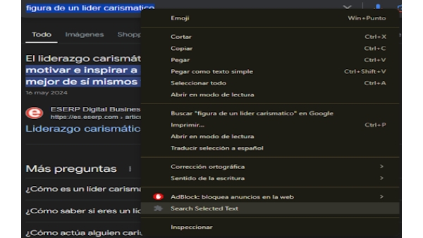 Text Selection Extension - Chrome Extension