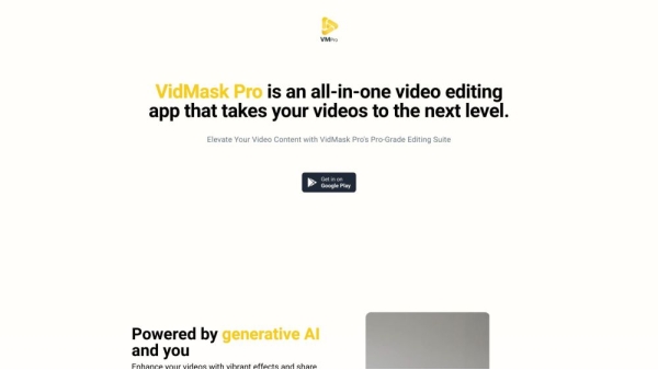 VidMaskPro