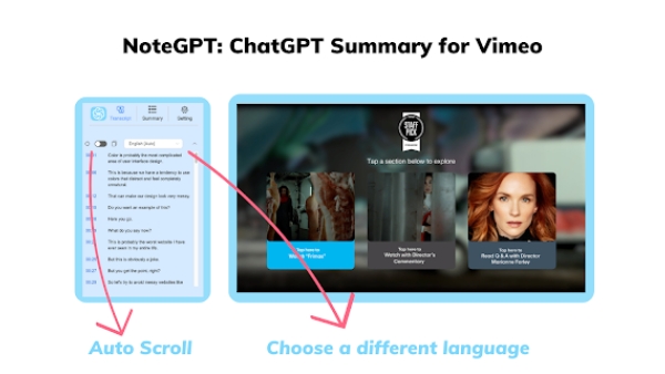 Vimeo Summary Generator Chrome Extension - Chrome Extension
