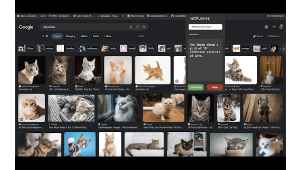 Vision-Enabled Language Model Extension - Chrome Extension