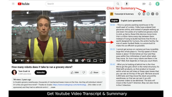 YouTube Summary - Chrome Extension