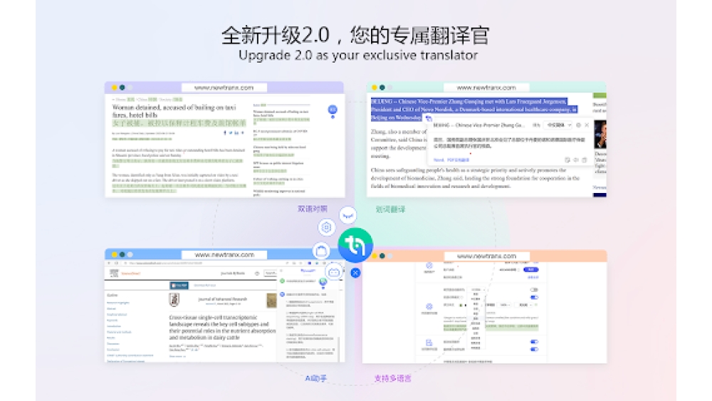 智译网页翻译插件 (NewTranx Browser Translator Plugin) - Chrome Extension