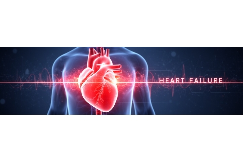 Как ИИ может предсказать ухудшение состояния пациентов с сердечной недостаточностью?