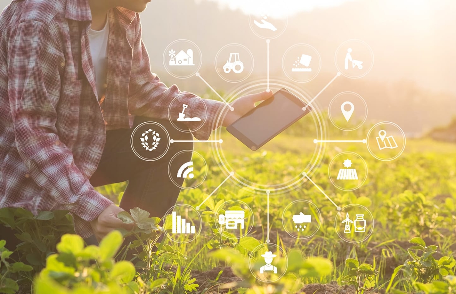  ИИ трансформирует маркетинг устойчивых продуктов: персонализация и эффективность