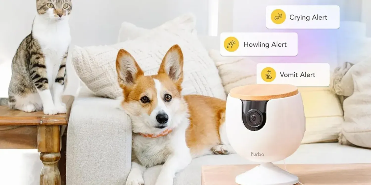  Умные камеры Furbo для домашних животных со скидкой до 75% на Prime Day